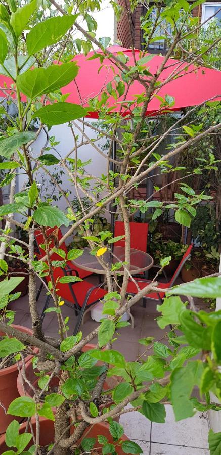 Master Hostel Borges Buenos Aires Ngoại thất bức ảnh